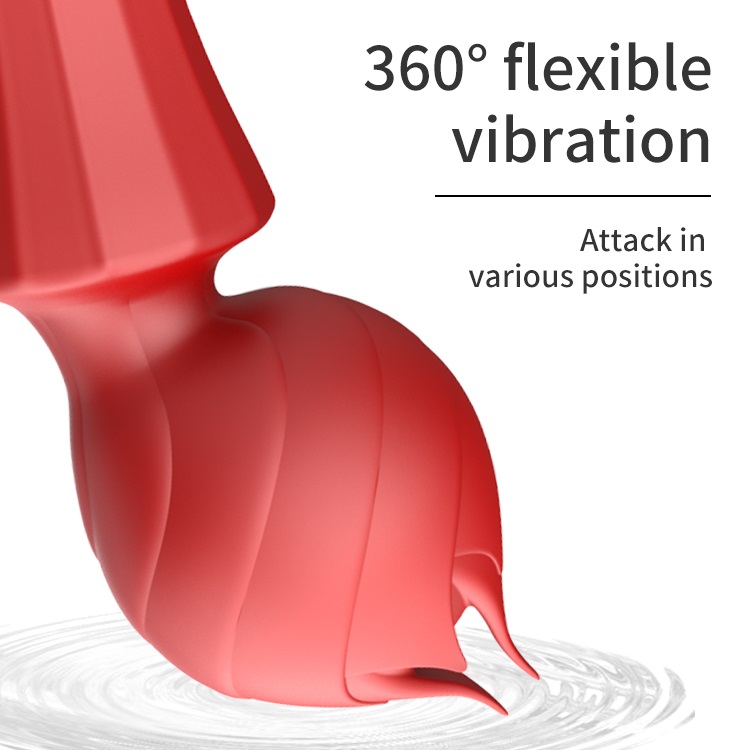 20 vibration modes vibrator