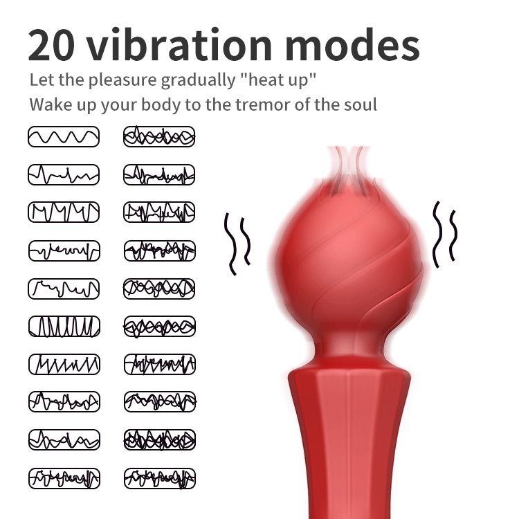20 vibration modes vibrator