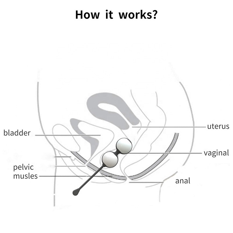 vaginal contraction ball