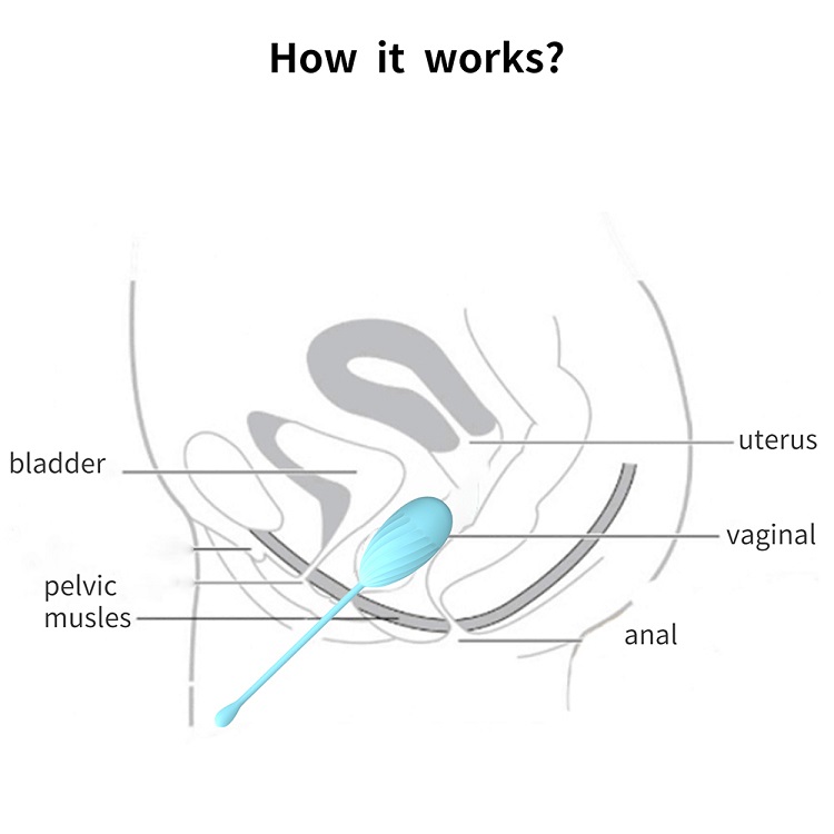 vagina contraction ball